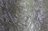 Langton Herring fibreglass roof work